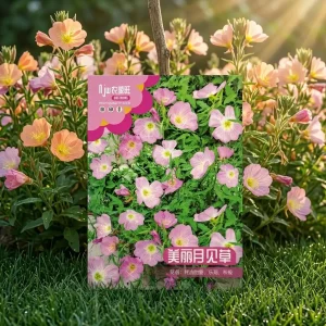 pink-evening-primrose-seeds