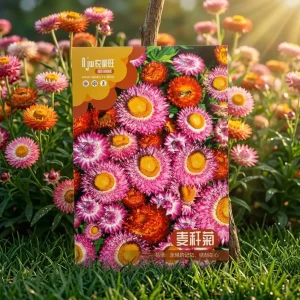 strawflower-seeds