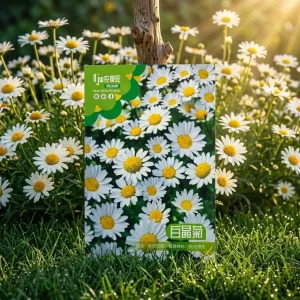 Crystal Daisy সাদা ডেইজি ফুলের বীজ - White Daisy Flower Seeds - R World Store