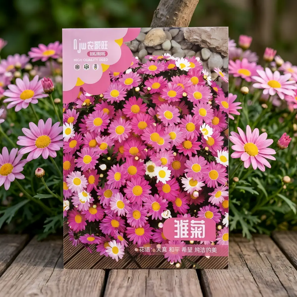 পিঙ্ক ডেইজি ফুলের বীজ - Pink Daisy Flower Seeds - R World Store