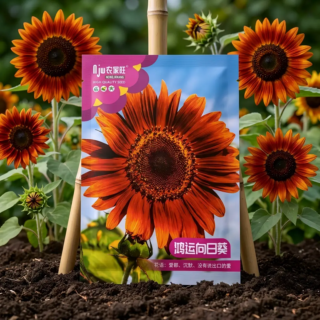 লাল সূর্যমুখী ফুলের বীজ - Red Sunflower Flower Seeds - R World Store