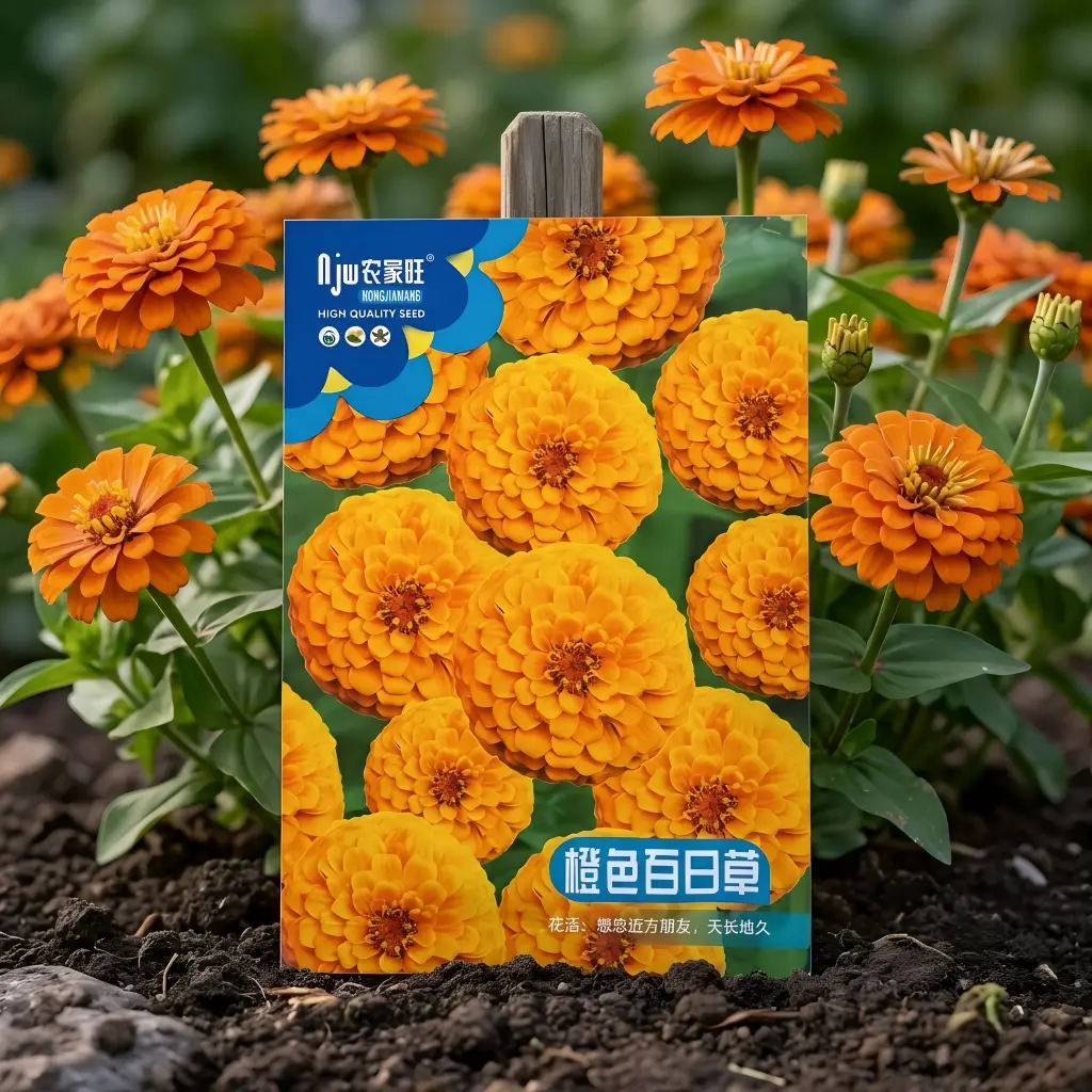 অরেঞ্জ জিনিয়া ফুলের বীজ - Orange Zinnia Flower Seeds - R World Store
